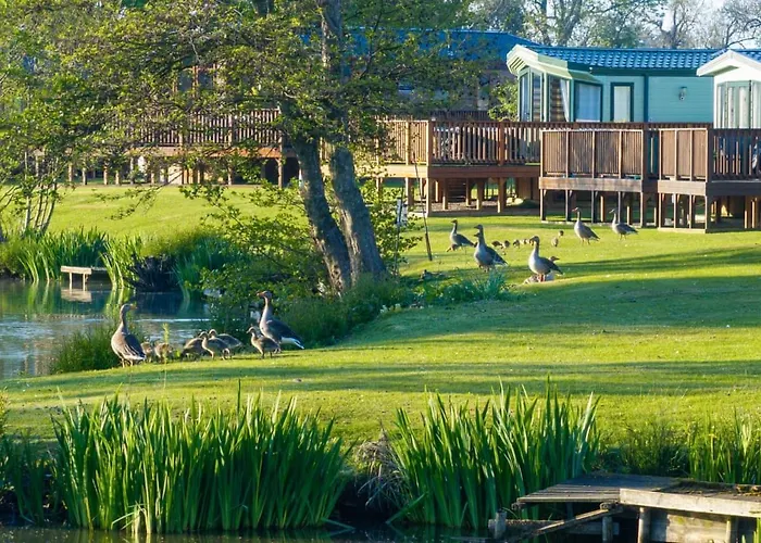 Burtree Lakes Bedale